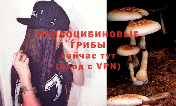 хмурый Армянск