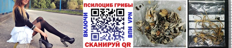 Галлюциногенные грибы Psilocybe  Купить  Перевоз 